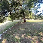 Deux Mini Distancees 10 Metres Pour 6 Personnes * Saint-Florent (Corsica)