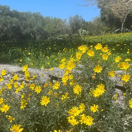 Villa Petite T1 Florent Corse Sur Magnifique Terrain Arboré 5 Minutes Des Plages Et Du Port De Plaisance