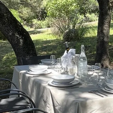 Petite T1 Florent Corse Sur Magnifique Terrain Arboré 5 Minutes Des Plages Et Du Port De Plaisance Villa *