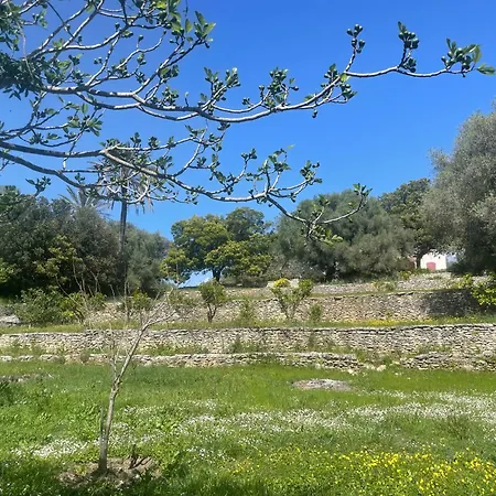 Villa Deux Mini Distancees 10 Metres Pour 6 Personnes Saint-Florent (Corsica)