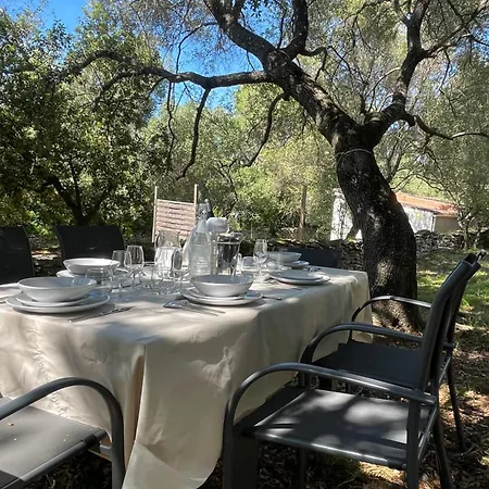 Villa Petite T1 Florent Corse Sur Magnifique Terrain Arboré 5 Minutes Des Plages Et Du Port De Plaisance Saint-Florent (Corsica)