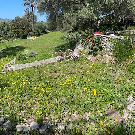 Petite T1 Florent Corse Sur Magnifique Terrain Arboré 5 Minutes Des Plages Et Du Port De Plaisance Saint-Florent (Corsica)