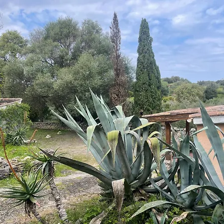 Petite T1 Florent Corse Sur Magnifique Terrain Arboré 5 Minutes Des Plages Et Du Port De Plaisance Villa