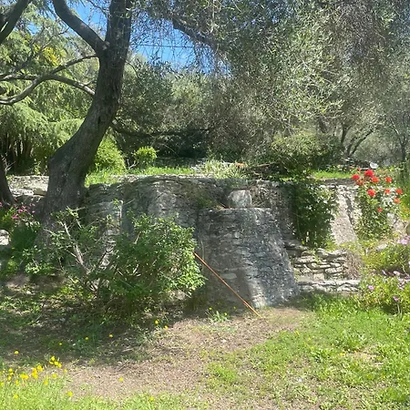 Petite T1 Florent Corse Sur Magnifique Terrain Arboré 5 Minutes Des Plages Et Du Port De Plaisance *