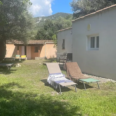 Villa Petite T1 Florent Corse Sur Magnifique Terrain Arboré 5 Minutes Des Plages Et Du Port De Plaisance *