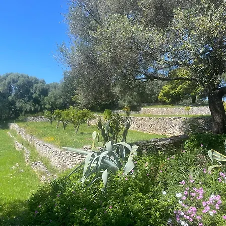 Petite T1 Florent Corse Sur Magnifique Terrain Arboré 5 Minutes Des Plages Et Du Port De Plaisance Villa *